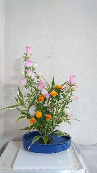 カンパニュラの色彩盛り花